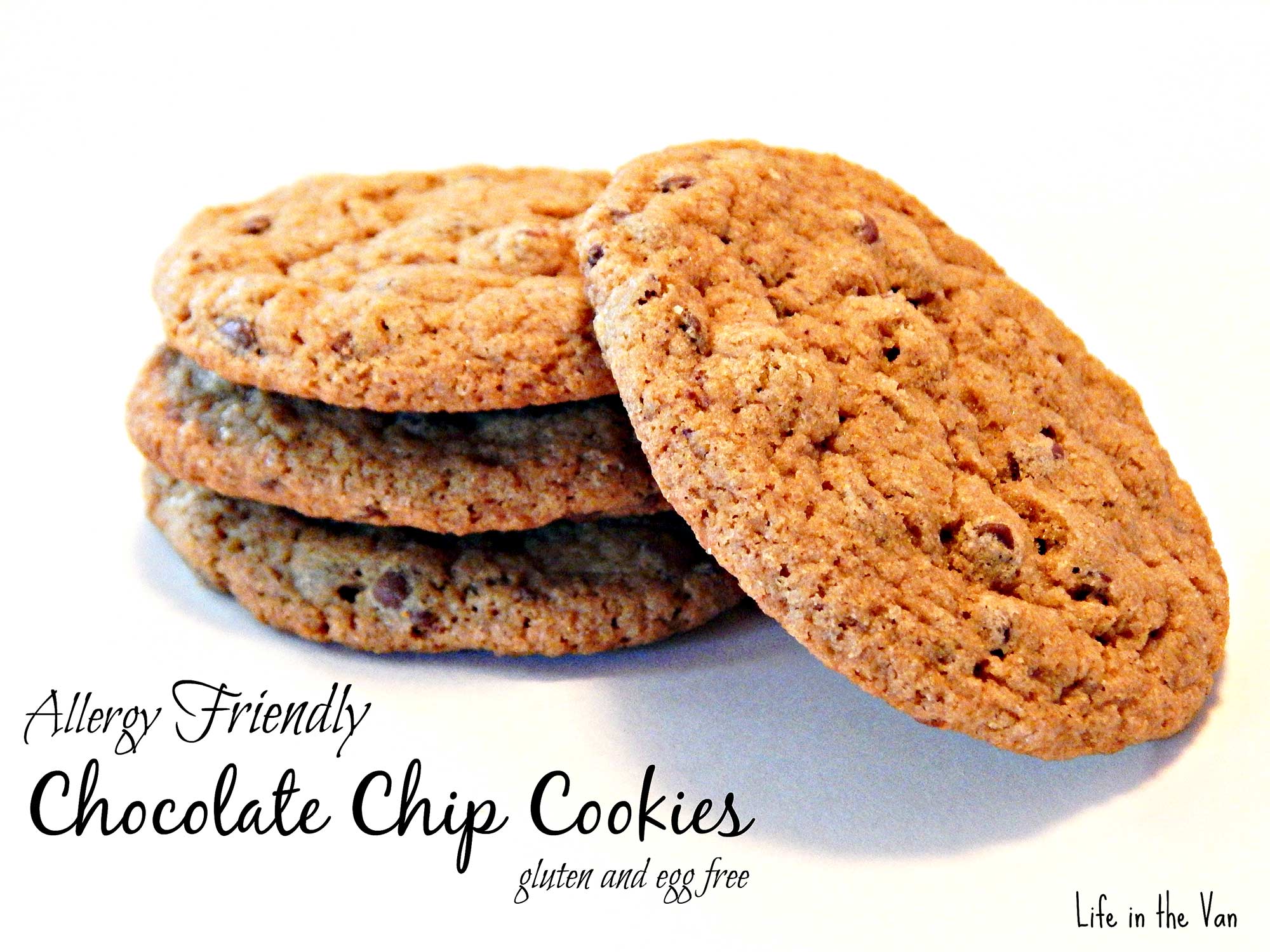 Gluten-Free Chocolate Chip Cookie Recipe (Allergy Friendly) - Sorghum ...