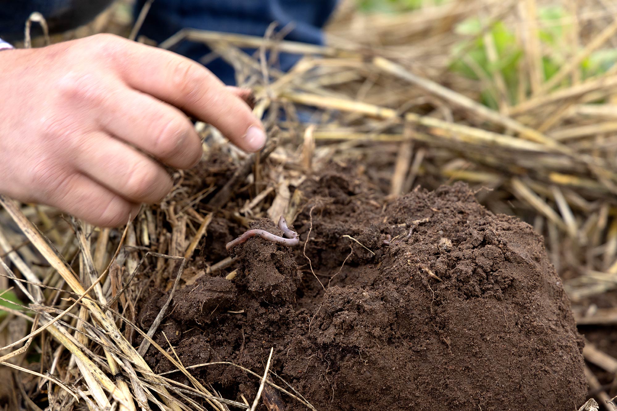 Growth and Development Checkoff