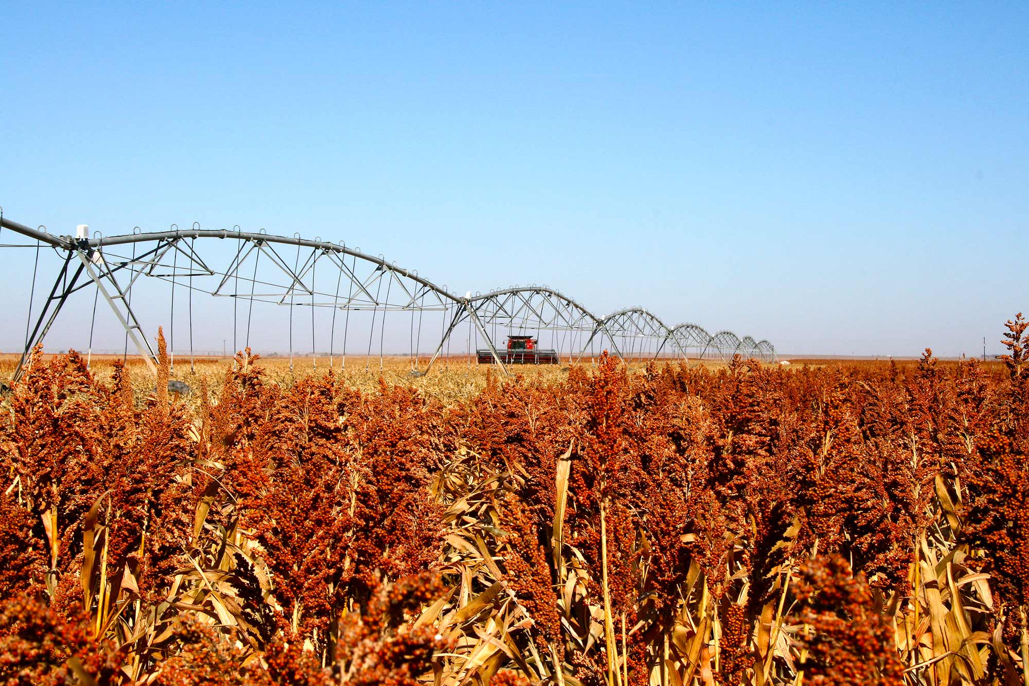 Water Use and Irrigation Checkoff