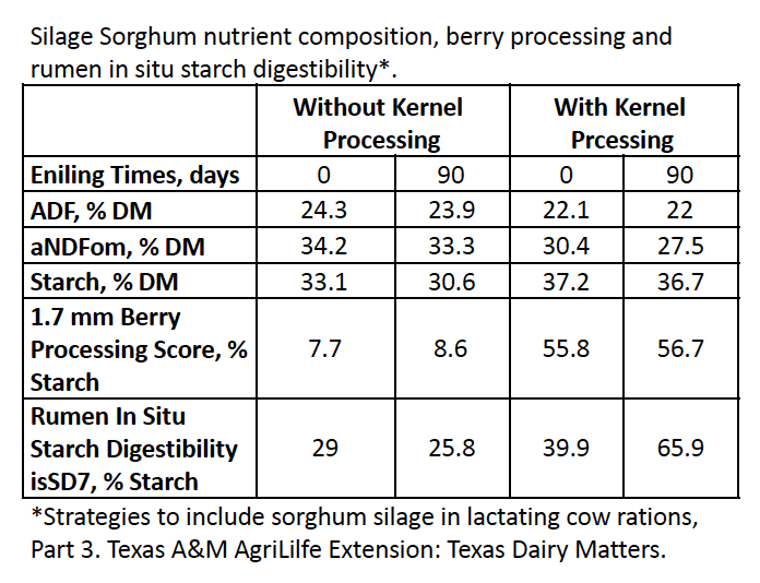 Sorghum Silage: The Rising Star of Dairy Feed - Sorghum Checkoff